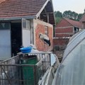 Mladunče rode palo sa bandere u dvorište: Porodica Milenković traži pomoć