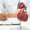 Nisu samo začepljene arterije problem: Otkriveni novi uzroci srčanog udara
