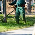 Zarada i do 35 evra dnevno, a radnika nema ni za lek! Košenje trave nikad skuplje: Majstori diktiraju cene, evo koliko košta…