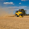 Poljoprivrednici: Žetva pšenice od 10. jula, ako je kiša ne odloži