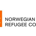 Norveški savet za izbeglice: Zahtev Izraela o preseljenju iz Gaze je ratni zločin