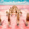 Najopasnije jezero na svetu: Sve što upadne pretvara se u kamen
