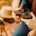 Danas počinje Vinska vizija Otvorenog Balkana: Evo je pripremljeno za ljubitelje vina i gastronomije od 22. do 25. novembra