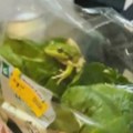 Pronašao živu žabu u zatvorenoj kesi zelene salate iz samousluge
