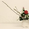 Japanska veština stara pet vekova osvaja nove generacije: Kako ikebana pomaže ljudima da pronađu mir i smisao