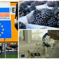 Srpski proizvodi opet vraćeni sa granice EU, a jedan čak završio na policama marketa: Ko treba da kontroliše kvalitet