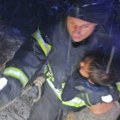 Drama kod Novog Pazara: Tročlana porodica sa detetom sletela kolima u kanjon reke Ibar, izvlače ih vatrogasci