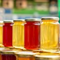 Brusnica koju Američka ne može da stigne! 1.000 dinara za "kilogram zdravlja: Draganov porodični posao traje već 15 godina
