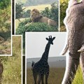 Mesto gde lavovi, leopardi i nosorozi slobodno šetaju, a svake godine dešava se spektakl: Ovo je Masai Mara