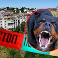 Totalni haos na Petlovom brdu: Ukrajinac mlatio vlasnika kafića, a kada je stigla policija počela prava drama: Pas kidisao na…