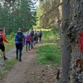 Šest sati avanture: Planinari organizuju noćno pešačenje, a evo šta posetioci mogu da očekuju