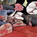 Cene ribe eksplodirale pred Veliki petak: Kilogram ide i do 6.000 dinara