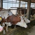 Veliko interesovanje za poljoprivredne subvencije u Kragujevcu