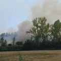 Šumski požar izbio kod Zrenjanina: Širi se gust dim, vatrogasci se bore sa buktinjom (video)