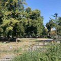 Lakše pobediti Vučića na izborima nego osloboditi Pionirski park