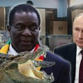 Napeto glasanje: Na današnjim izborima u Zimbabveu favorit je "krokodil", od Putina dobio na poklon helikopter (foto, video)
