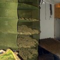 Ovako izgleda laboratorija droge koja je otkrivena na Paliluli: Narko banda pala na delu, među njima 2 devojke
