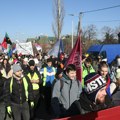 FOTO Studenti koji su krenuli iz Beograda peške u Kragujevac noć proveli u plasteniku gazdinstva „Dr Čupić“