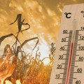 Pred nama nekoliko godina ubitačnih vrućina - upozorile najveće meteorološke službe na svetu