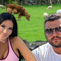 A od verenika 100 krava i 1.000 ovaca?! Stanija Dobrojević dobila od Asmina krdo stoke i fabriku za preradu mesa! Čobančica