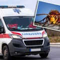 6 simptoma alergijske reakcije zbog ujeda stršljena: Ništa manje nisu opasni ni ubodi ova 2 insekta