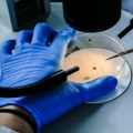 Kineski naučnici razvili veštačke bakterije koje razgrađuju pet organskih zagađivača