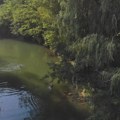 Inspekcija proverila navode o zagađenju Velikog Rzava: Voda bistra, nisu uočeni znaci zagađenja