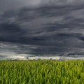 U Srbiji danas oblačno vreme, temperatura do šest stepeni