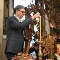 Vučić vernicima čestitao Božić, pa pomenuo stradanje Srba na KiM: "Bez vere ne možemo kroz ova burna vremena"