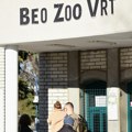 (Video) Prva beba u 2026. u Beo zoo vrtu! Toliko je malena da ne može sama da se hrani, a kad poraste nosiće i do 13 litara…