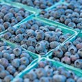 Kupci traže sve manja pakovanja bobičastog voća