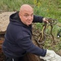 (Фото, видео) "Мало им је било хладно!" Шок призор код Мерошине: Владица отворио шахт и унутра угледао шест змија: "То су…