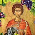 Danas je Sveti Trifun – dan kada se orezuje vinova loza i nazdravlja novoj berbi