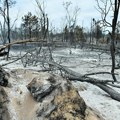 U Srbiji aktivno 29 požara — vatru u selu kod Vranja gasi ruski „iljušin“