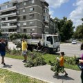 Volonteri čiste novi SAD od posledica strašnog nevremena: I deca pomažu „Zelenilu“