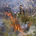 Panika u Italiji, širi se požar u okolini Palerma: Škole zatvorene, meštani proveli noć na krovovima kuća