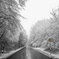 AMSS: Sneg na putevima u planinskim predelima zapadne Srbije