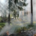 Požar na Divčibarama nije još lokalizovan, gori pet i po hektara šume