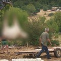Masovni pomor krava u Zagori, kod jedne nađena bedrenica