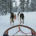 Trampovom izaslaniku za Grenland povučen poziv za tradicionalnu trku zaprega pasa