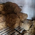 Uhapšen muškarac zbog šverca 540 kilograma duvana