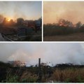 (Video, foto) veliki požar na klisi zahvatio deo rasadnika Gradskog zelenila Vetar otežava gašenje vatrogascima