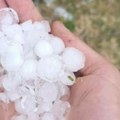 Zabelelo se u Veterniku: Grad potpuno prekrio travu!