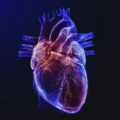 Urođene srčane abnormalnosti i inovativni pristupi lečenju