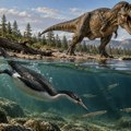 Neke ptice su preživele asteroid koji je zbrisao dinosauruse - zašto?
