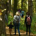 Rast turizma u Vojvodini: U prvih osam meseci skoro pola miliona poseta, među gostima najviše onih iz inostranstva