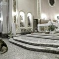 Verni pas godinama dolazio u crkvu i mirno ležao kraj oltara čekajući svoju preminulu vlasnicu