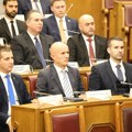 Crna Gora bira predsednika parlamenta i Vlade: Više stranaka protiv izbora Mandića