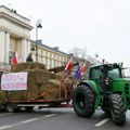 Ukrajinsko žito uništava evropsku poljoprivredu