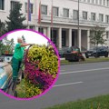 Letnje ulepšavanje novog sada: Na Trgu slobode postavljeno 18 cvetnih žardinjera, saksijama sa cvećem ukrašeni stubovi…